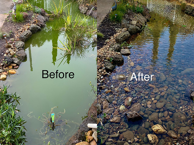 Water Feature Image