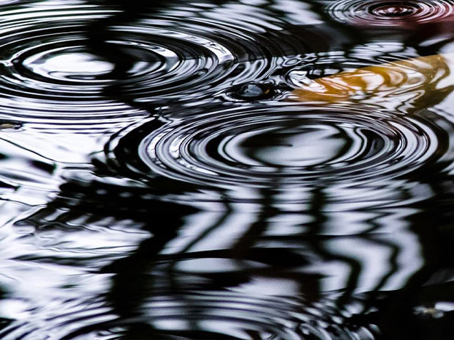 What is a Pondless System? Image