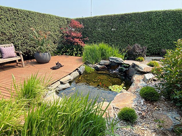 Plan the garden path Image