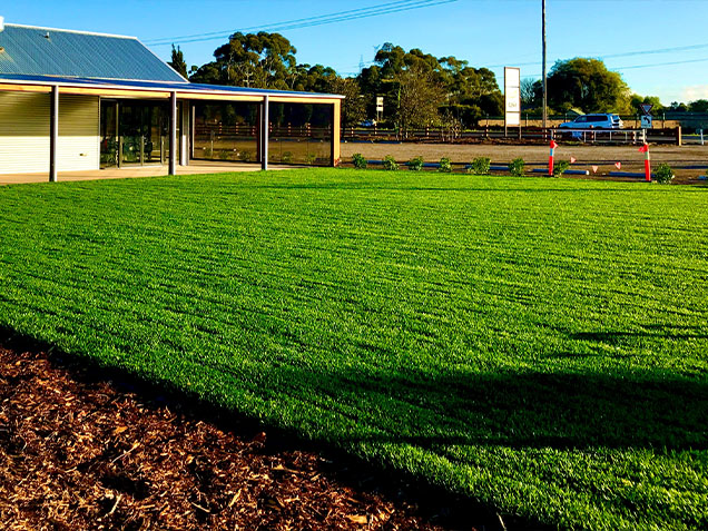 Lawns Image