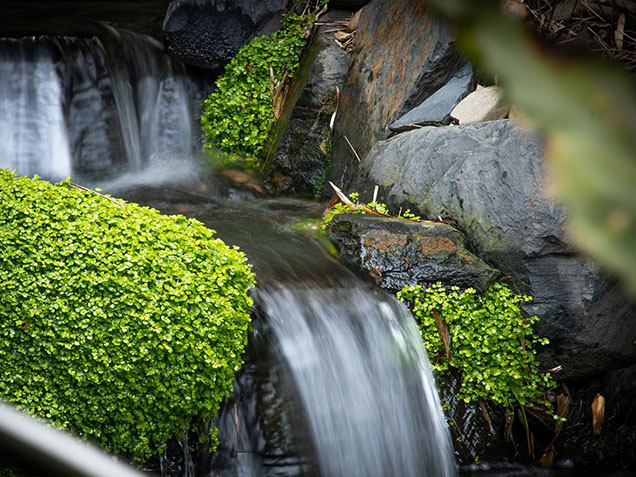 Streams, Waterfalls, Formal and Decorative Features Image